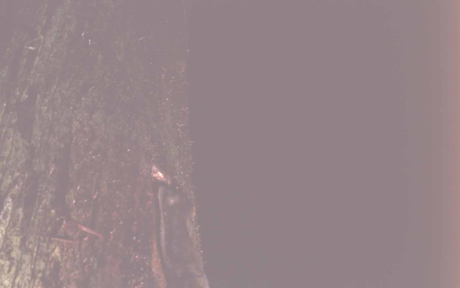 f0047593_11102976.jpg