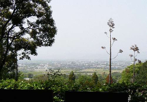 a0008202_2214035.jpg