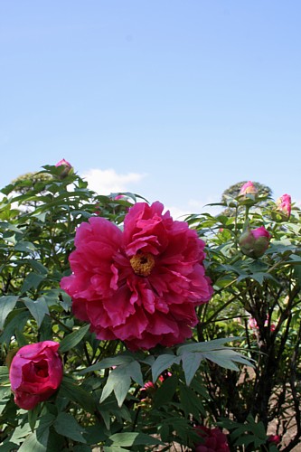 e0080212_23244999.jpg