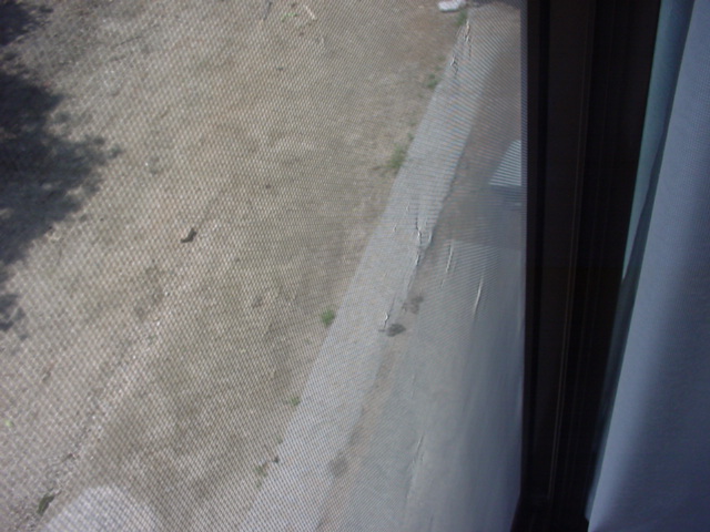 f0052337_10415038.jpg