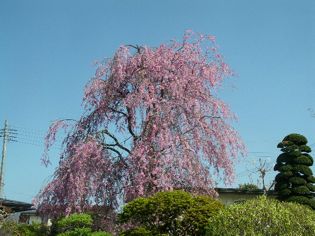 f0041138_2129290.jpg
