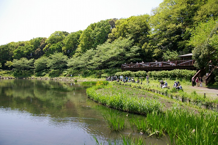 泉の森公園 神奈川県大和市 Arizo Photopic 泉の森公園 神奈川県大和市 Arizo Photopic