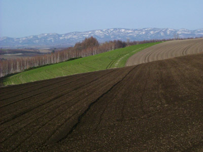 e0083559_236125.jpg