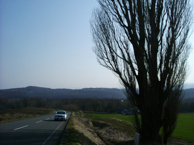 e0083559_2364583.jpg