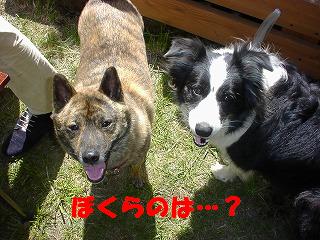 b0003270_2045165.jpg