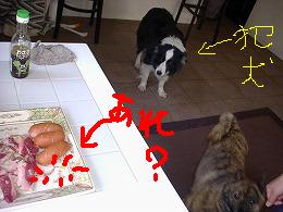 b0003270_20493849.jpg