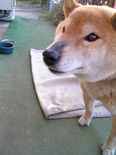 c0025481_20435577.jpg