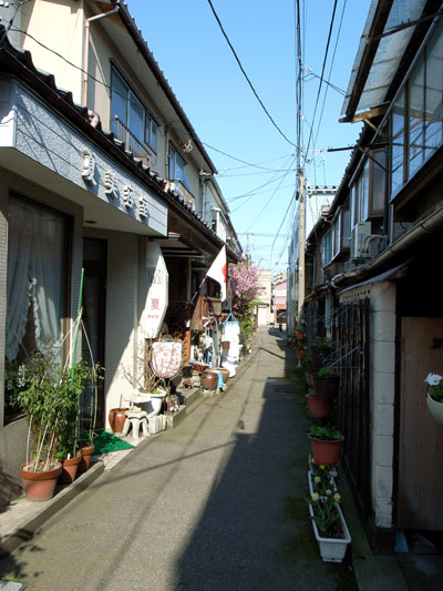 美の脇役_e0082981_227266.jpg