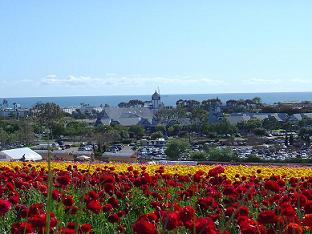 c0002590_14283464.jpg
