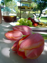 a0062203_1614458.jpg