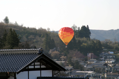 a0039307_215485.gif