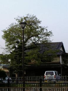 黄金週間!_f0042307_19313361.jpg