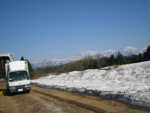 今日は良い天気でした・・・_f0067514_21261847.jpg