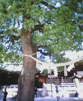 f0087847_11311499.jpg