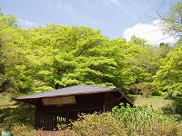 d0048350_20121047.jpg