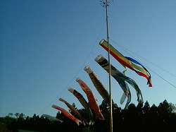 c0047860_8254958.jpg