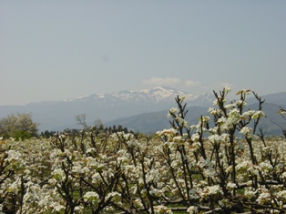 e0015964_2142956.jpg
