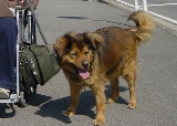 e0015964_2272041.jpg