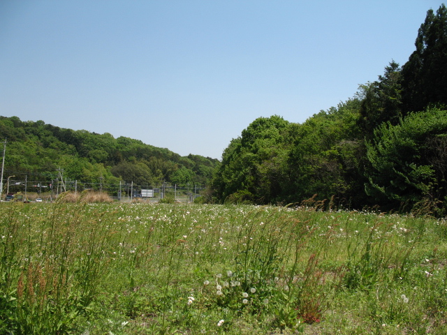 b0074377_18102836.jpg