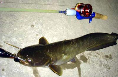 いしげ さん、からの投稿です。_c0068877_17214987.jpg