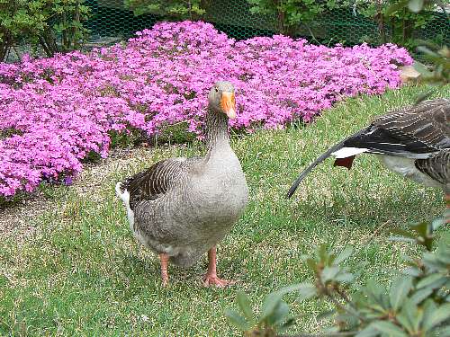 a0008202_13745.jpg