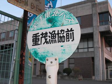 f0055803_1754556.jpg