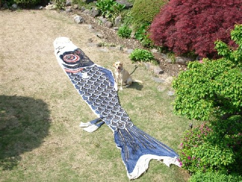 e0046305_10493452.jpg
