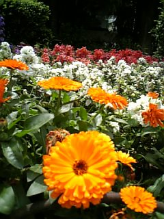 e0016828_19382011.jpg