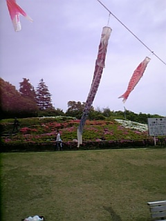 e0016828_19395727.jpg