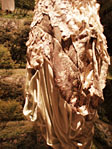 ＊この場所を＊　　acomi 2006春 続展　basyo　2006,5,2・3_a0030038_038106.jpg