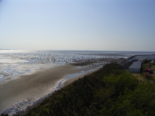 c0018070_1504692.jpg
