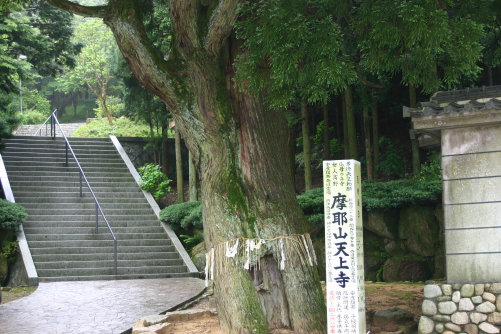 ＜第四番　　摩耶山　天上寺中院＞_a0045381_21522911.jpg