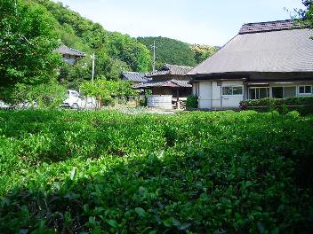 皐月の空に屋根より高く_d0038085_22531765.jpg