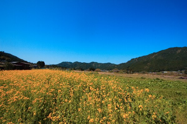 第六回路地裏探検隊 『そうだ、大原行こう』 _e0051888_0433697.jpg
