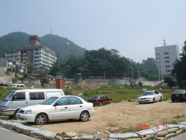 f0091590_37573.jpg