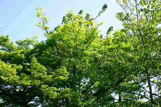 e0061694_283686.jpg