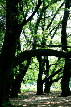 d0000304_18313045.jpg
