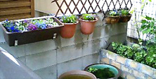 f0039934_23381276.jpg