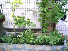 f0039934_23405283.jpg