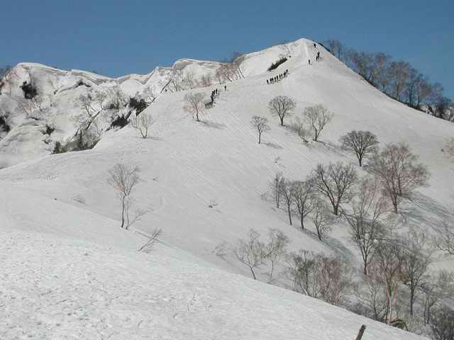 遠見尾根から五竜岳へ_e0014441_2058164.jpg