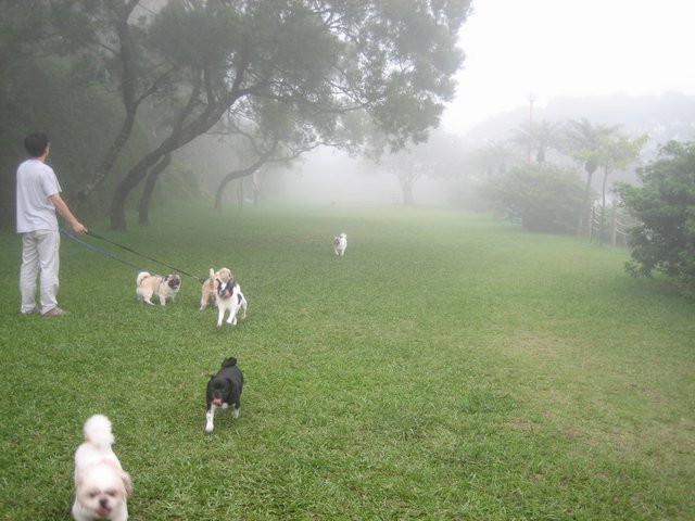e0018143_35161.jpg