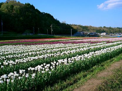 ２２．大分県くじゅう・竹田［４／１６］_a0054350_2091150.jpg