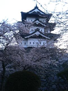 弘前城公園は桜満開_f0104457_5424958.jpg