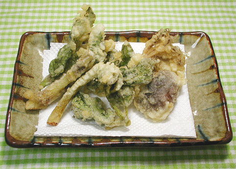 山菜好きでっす。_f0001469_1624316.jpg
