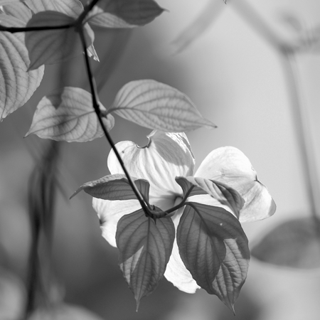 e0051071_23403117.gif