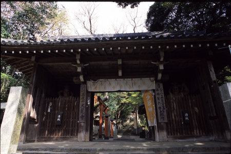 ＜第五番　再度山（ふたたびさん）大龍寺＞_a0045381_22134724.jpg