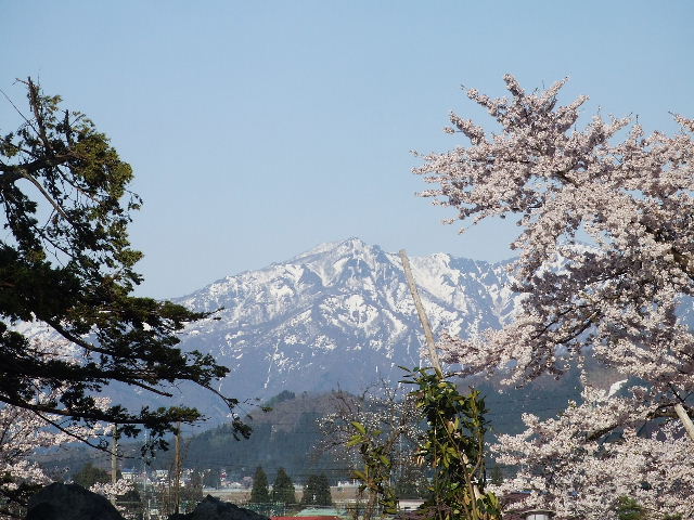 c0069083_1612836.jpg