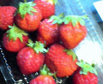 Try_b0079097_22355473.jpg