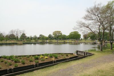 羽生水郷公園_e0057499_23261754.jpg