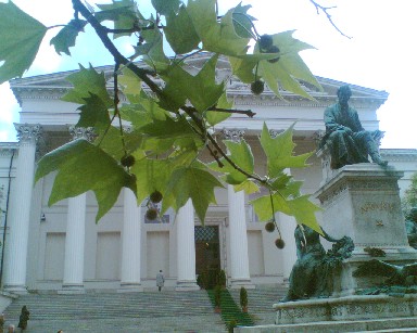 f0021504_3351446.jpg